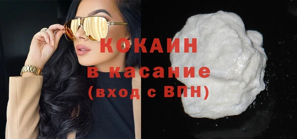 шишки Абаза
