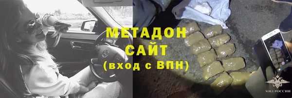 шишки Абаза