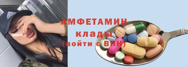 шишки Абаза
