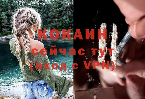 спиды Абинск