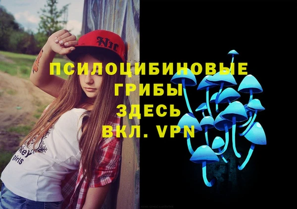шишки Абаза