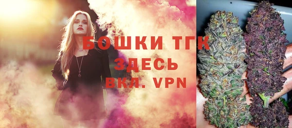 шишки Абаза