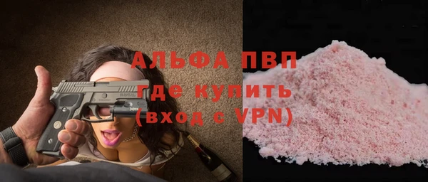 шишки Абаза